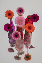 Still Life On Mirror With Pink And Red Gerber Flowers In Glass Vases