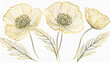 Hand drawn wildflowers, golden outlines poppy isolated illustration, wedding stationery element