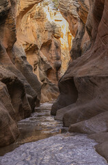 Canvas Print - Scenic Willise Creek Slot Canyon in the Grand Staircase Escalante National Monument Utah