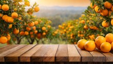 Empty Wood Table With Free Space Over Orange Trees Orange Field Background For Product Display Montage Generative Ai