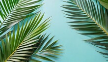 Tropical Palm Leaves On Light Blue Background Minimal Nature Summer Styled Flat Lay Image Is Approximately 5500 X 3600 Pixels In Size