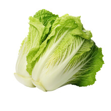 Green Curly Lettuce Leaves For Healthy Salad On White
