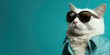Fashionable cat with dark sunglasses, blue background.