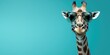 Giraffe with turquoise framed glasses