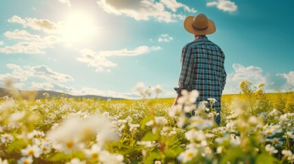 Wall Mural - Farmer on the field during sunny day, beautiful blue sky