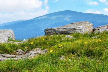 Wall Mural - mountainous alpine landscape in summer. grass and dandelions among the boulders and rock formations 