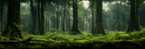 Fototapeta Las - Epic Wilderness - A Serene Journey into a Majestic, Ancient Forest