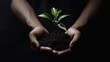 Hands holding a plant in the ground on a dark background. AI generated.