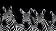 A pattern of zebras on a black and white striped background