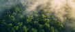 Aerial View of Sun-Kissed Trees Shrouded in Mist: The Ethereal Dance of Light and Nature