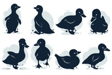 Collection Of Farm Ducks Silhouettes Isolated On White Background.