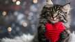 A red knitted heart in the paws of a cat. A postcard with a gray and black fluffy cat for Valentine's Day. Festive background with a cat. Generative AI