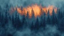  A Forest Filled With Lots Of Trees On Top Of A Foggy Hillside With A Sunset In The Middle Of The Forest And A Few Trees In The Foreground.