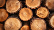 Large Wood logs stacked neatly close up