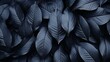 © Ilja - Abstract black leaf textures for tropical leaf background   dark nature concept with copy space