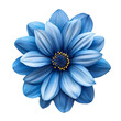 blue single flower on a transparent background isolate