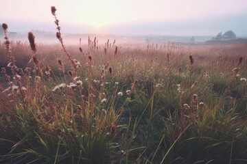 Wall Mural - field wind grass moody wild peaceful landscape freedom scene beautiful nature wallpaper photo