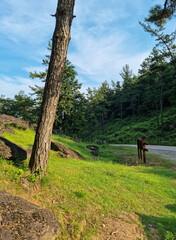Canvas Print - This is a dolmen park in Jeolla-do, South Korea.