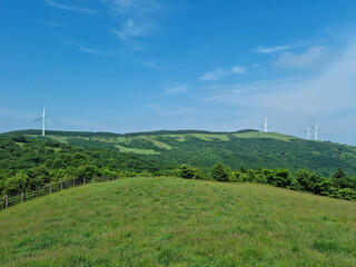 Canvas Print - This is a landscape of a meadow with a wind turbine.