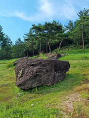 Canvas Print - It is a large dolmen.