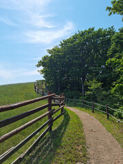 Canvas Print - 
It is a dirt road with a wooden fence.