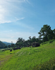 Canvas Print - This is a dolmen park located in Jeolla-do, South Korea.