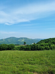 Canvas Print - 
It is a sheep ranch with trees and grass.