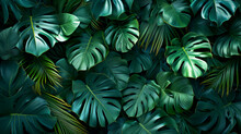 Background With Monstera Leaves