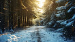 Forest pathway covered in fallen snow, meanders through tall pine trees with glistening snowflakes