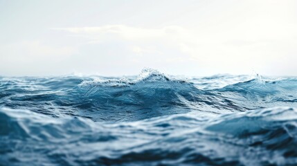  a sea wave comes