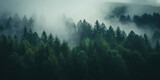Fototapeta Fototapety z naturą - misty autumn coniferous evergreen forest with fog in the mountains,  Misty landscape with fir forest in hipster vintage retro style. dark green forest lanscape panorama