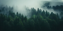 Misty Autumn Coniferous Evergreen Forest With Fog In The Mountains,  Misty Landscape With Fir Forest In Hipster Vintage Retro Style. Dark Green Forest Lanscape Panorama