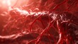 The Impact of Thickened Arteries and Veins on the Heart, a Detailed Look at Coronary Heart Disease and the Role of High Cholesterol in Vascular Health