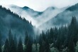 Foggy morning in the mountains with coniferous forest