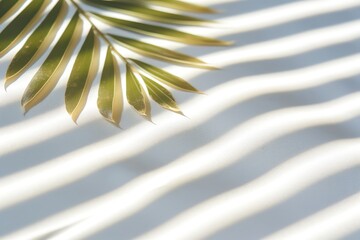 Wall Mural - in a close-up view, palm leaves reveal intricate details, with shadows casting captivating stripes, 