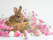 Easter spring background for website and social networks with place for text. Easter card. Bunny, Basket, flowers, hand painted Easter eggs. Spring. Faith in God.