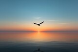 Fototapeta  - Seagull on sunrise, minimalistic silhouette of a bird flying over the horizon at dawn, Silhouette of a seagull