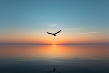 Seagull On Sunrise, Minimalistic Silhouette Of A Bird Flying Over The Horizon At Dawn, Silhouette Of A Seagull