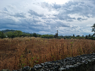 Canvas Print - Grassland with cloudy sky and stone wall.