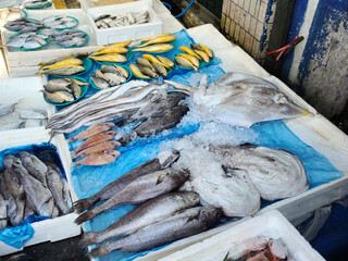 Wall Mural - fresh fish at the market