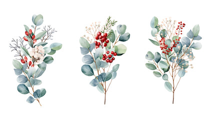 Wall Mural - Botanical bouquet illustration set.  Beautiful eucalyptus and red berry bunch on white background. Red, white, green branch and leaves. Vector illustration