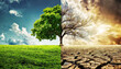 © Alberto Masnovo - Global warming concept and climate change. Half bare tree on barren ground of a desert, and half with lush green foliage on a beautiful green meadow. Generative Ai.