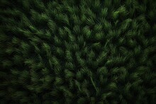 Background Of Thick Green Grass, Moss, Top View. Textured Surface, Organic Material.