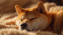 Shiba Inu Dog Having A Good Night's Sleep. AI Generative.