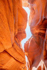 Canvas Print - Navajo Upper Antelope Canyon within Lake Powell Navajo Tribal Park near Page