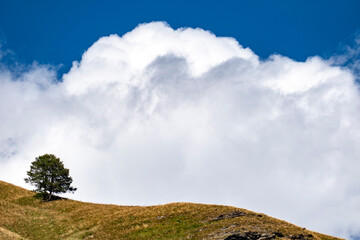 Poster - Colle del Sommiller, Piemonte, Alpi Cozie, Bardonecchia