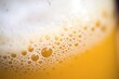 closeup of beer bubbles and froth