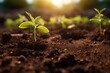 Clean soil for gardening, a vital element for life on Earth.