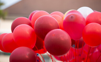 Wall Mural - Red balloons for party in the park. Abstract background.