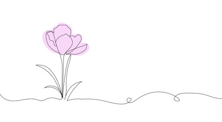 Wall Mural - saffron flower line art. Hand drawing. For background, card, invitation, print and other design